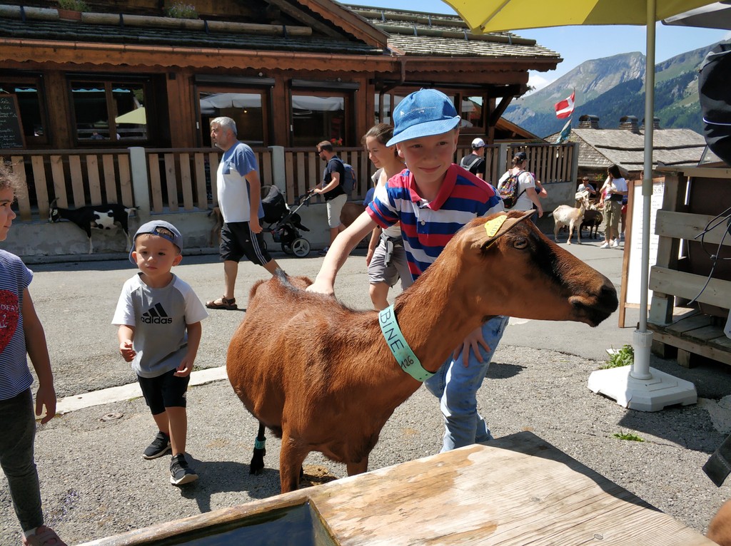 1565355397501-img_20190730_142129-resize