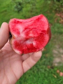 תמונה מתוך אתר למטייל